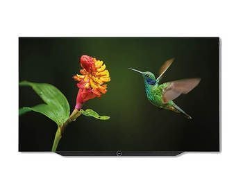 Loewe Bild 755 Oled Set Incl Tscover loewe kopen in de aanbieding
