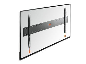 Vogels Base 05 vogels kopen in de aanbieding Vogels Base 05 vogels kopen in de aanbieding